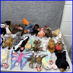 Ty Beanie Babies Zoo Safari Farm Dinosaur Birds Animals RARE Mint Condition