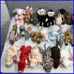 Ty Beanie Babies Zoo Safari Farm Dinosaur Birds Animals RARE Mint Condition