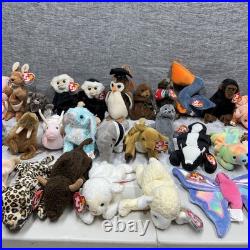 Ty Beanie Babies Zoo Safari Farm Dinosaur Birds Animals RARE Mint Condition