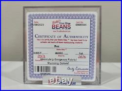 Ty Beanie Baby Babies Rare 3rd 1st Gen Tag Rex TBB Authenticated MWCT