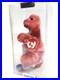Ty-Beanie-Baby-Babies-Rare-3rd-1st-Gen-Tag-Rex-TBB-Authenticated-MWMT-MQ-01-lh