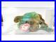 Ty-Beanie-Baby-Babies-Rare-3rd-1st-Gen-Tag-Steg-TBB-Authenticated-MWCT-01-cra