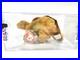 Ty-Beanie-Baby-Babies-Rare-3rd-1st-Gen-Tag-Steg-TBB-Authenticated-MWCT-01-melq