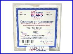 Ty Beanie Baby Babies Rare 3rd 1st Gen Tag Steg TBB Authenticated MWMT-MQ