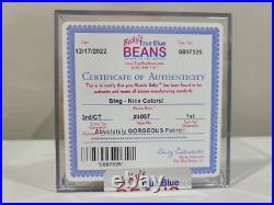 Ty Beanie Baby Babies Rare 3rd 1st Gen Tag Steg TBB Authenticated MWNMT