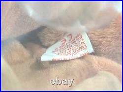 Ty Beanie Baby Babies Rare 3rd 2nd Gen Bongo Tan Tail TBB Authenticated MWNMT