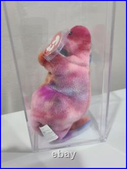 Ty Beanie Baby Babies Rare 3rd 2nd Gen Tag Rex CANADIAN TBB Authenticated MWCT