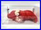 Ty-Beanie-Baby-Babies-Rare-3rd-2nd-Gen-Tag-Tabasco-TBB-Authenticated-MWMT-MQ-01-ix