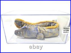 Ty Beanie Baby Babies Rare PAX Morrie PROTOTYPE Peggy G. Authenticated MQ