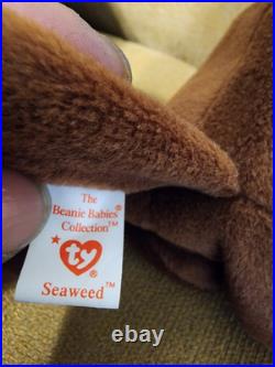 Ty Beanie Baby Babies SEAWEED The Otter With Multiple Errors RARE Ty Beanie Baby Babies SEAWEED The Otter With Multiple Errors RARE