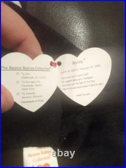 Ty Beanie Baby Baldy (Eagle 1996) RARE Tag ERRORS! Perfect Mint Condition, PVC Ty Beanie Baby Baldy (Eagle 1996) RARE Tag ERRORS! Perfect Mint Condition, PVC