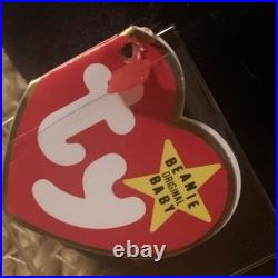 Ty Beanie Baby Blackie The Bear PVC Pellets Tag Errors Rare Retired Mint Ty Beanie Baby Blackie The Bear PVC Pellets Tag Errors Rare Retired Mint