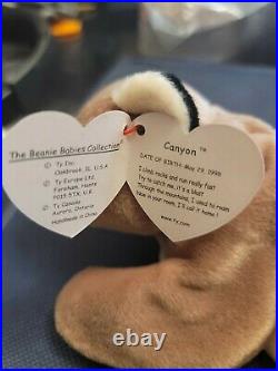 Ty Beanie Baby CANYON the Cougar MINT with MINT TAGS Errors Rare
