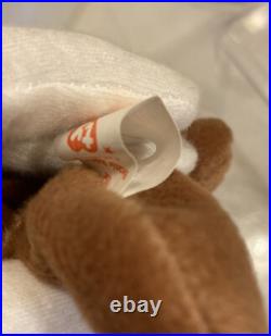 Ty Beanie Baby CUBBIE the Bear, Very Rare With 12 Errors And 9 Rarities