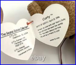 Ty Beanie Baby CURLY Bear RARE MULTIPLE Errors Original Retired 1993/1996