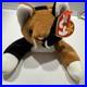 Ty-Beanie-Baby-Chip-The-Cat-RARE-1996-Style-4121-With-Tag-Errors-PVC-01-nd