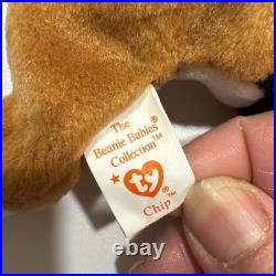 Ty Beanie Baby Chip The Cat RARE- 1996, Style 4121 With Tag Errors! PVC