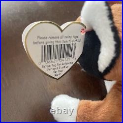 Ty Beanie Baby Chip the Cat Retired RARE Errors Mint 1996