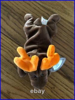Ty Beanie Baby Chocolate The Moose One Of The Original Nine! 1993 Mwmt Rare