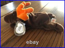 Ty Beanie Baby Chocolate The Moose One Of The Original Nine! 1993 Mwmt Rare