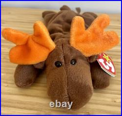 Ty Beanie Baby Chocolate the Moose 1993 with rare tag errors