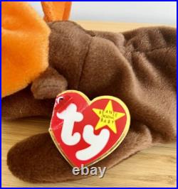 Ty Beanie Baby Chocolate the Moose 1993 with rare tag errors