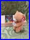 Ty-Beanie-Baby-Hope-Bear-w-Rare-Tag-Error-Hang-Tag-1998-Tag-Rear-Tag-1999-01-vde