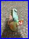 Ty-Beanie-Baby-Iggy-The-Iguana-Rare-Rainbow-Style-Multiple-Tag-Errors-Mint-01-xxu