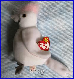 Ty Beanie Baby-Kuku. 1997/98. Very Rare! Stamp #619/Many Errors/Excellent cond