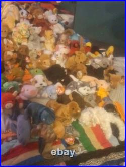 Ty Beanie Baby Lot of 54 Original and Rare Collectibles 93-99 All Errors Withtags