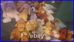 Ty Beanie Baby Lot of 54 Original and Rare Collectibles 93-99 All Errors Withtags