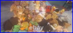Ty Beanie Baby Lot of 54 Original and Rare Collectibles 93-99 All Errors Withtags