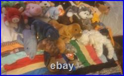 Ty Beanie Baby Lot of 54 Original and Rare Collectibles 93-99 All Errors Withtags