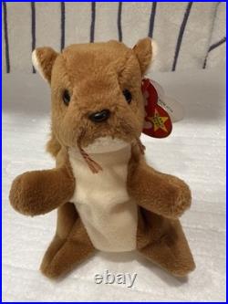 Ty Beanie Baby Nuts The Squirrel Rare! Original tag. PVC Plenty Of Tag Errors