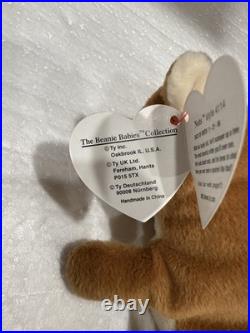 Ty Beanie Baby Nuts The Squirrel Rare! Original tag. PVC Plenty Of Tag Errors