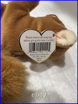 Ty Beanie Baby Nuts The Squirrel Rare! Original tag. PVC Plenty Of Tag Errors