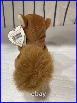 Ty Beanie Baby Nuts The Squirrel Rare! Original tag. PVC Plenty Of Tag Errors