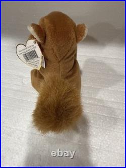 Ty Beanie Baby Nuts The Squirrel Rare! Original tag. PVC Plenty Of Tag Errors