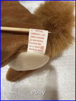 Ty Beanie Baby Nuts The Squirrel Rare! Original tag. PVC Plenty Of Tag Errors
