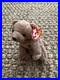Ty-Beanie-Baby-PECAN-THE-BEAR-with-Tag-errors-1999-RARE-Retired-with-ERRORS-01-rgf