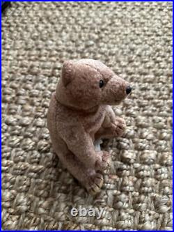 Ty Beanie Baby PECAN THE BEAR with Tag errors 1999 RARE Retired with ERRORS