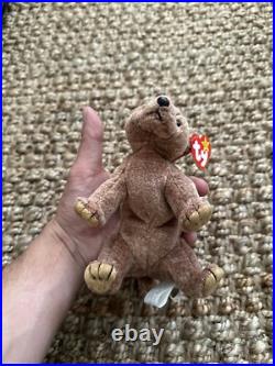 Ty Beanie Baby PECAN THE BEAR with Tag errors 1999 RARE Retired with ERRORS