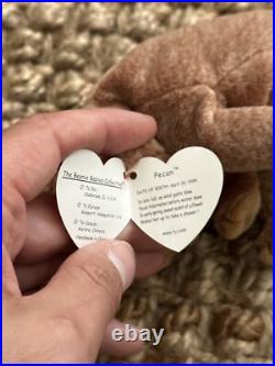 Ty Beanie Baby PECAN THE BEAR with Tag errors 1999 RARE Retired with ERRORS