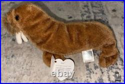 Ty Beanie Baby Paul The Walrus 1999 ERROR RARE Different Name On Tush Tag