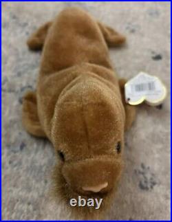 Ty Beanie Baby Paul The Walrus 1999 ERROR RARE Different Name On Tush Tag