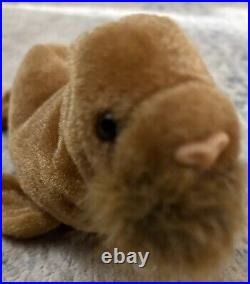 Ty Beanie Baby Paul The Walrus 1999 ERROR RARE Different Name On Tush Tag