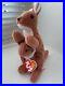 Ty-Beanie-Baby-Pouch-the-Kangaroo-1996-with-Errors-Rare-Collectable-01-rqul