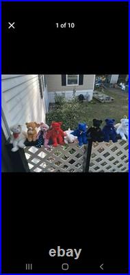 Ty Beanie Baby Princess Diana Bear 1997 Rare, Retired, Mint with Tags