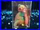 Ty-Beanie-Baby-Rare-Garcia-Bear-3rd-2nd-Gen-Authenticated-Mwmt-Mq-01-tj