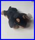 Ty-Beanie-Baby-Rare-Toby-1996-With-Tag-Errors-01-be